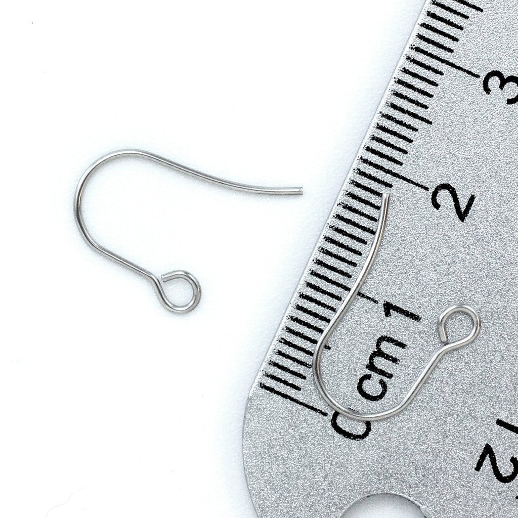 20 pairs Basic Surgical Steel Ear Wires 316L