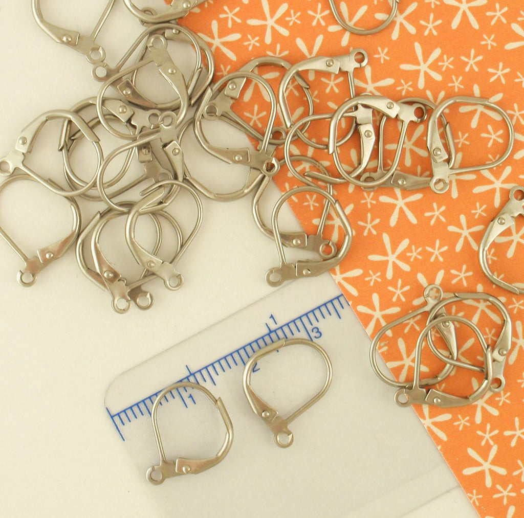 5 Pairs Surgical Stainless Steel Leverback Ear Wires - Plain Front