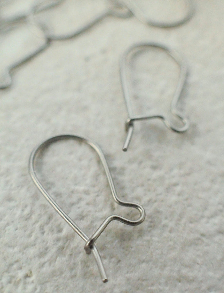 Titanium Kidney Ear Wires - Made in the USA - 17mm X 10mm - Hypoallergenic