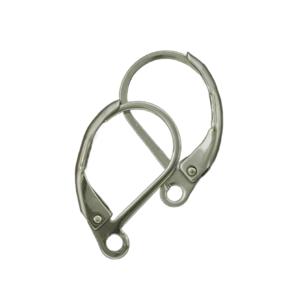 5 Pairs Modern Curve Surgical Stainless Steel Leverback Ear Wires - Tumbled to Eliminate Rough Edges and Bring to a High Sheen