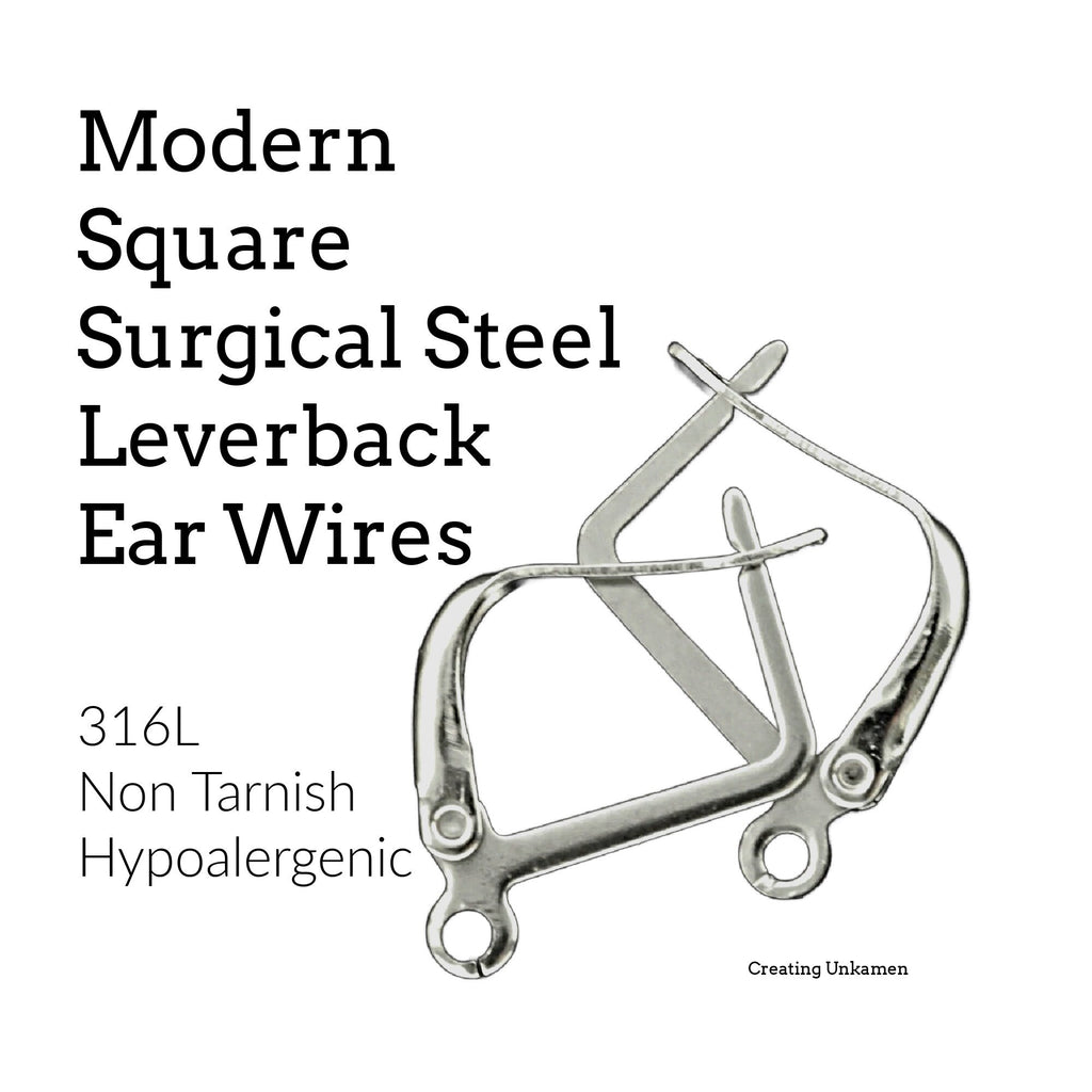 5 Pairs Modern Square Surgical Stainless Steel Leverback Ear Wires