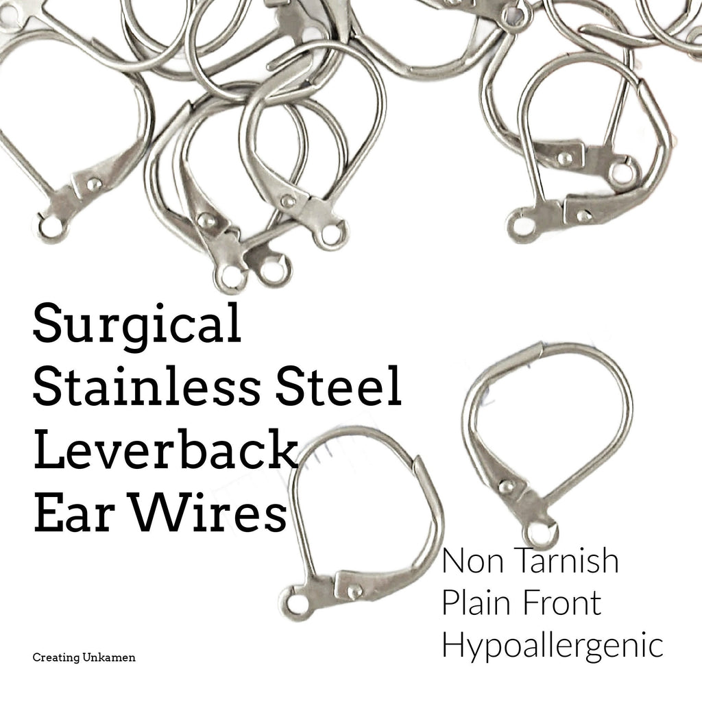 5 Pairs Surgical Stainless Steel Leverback Ear Wires - Plain Front