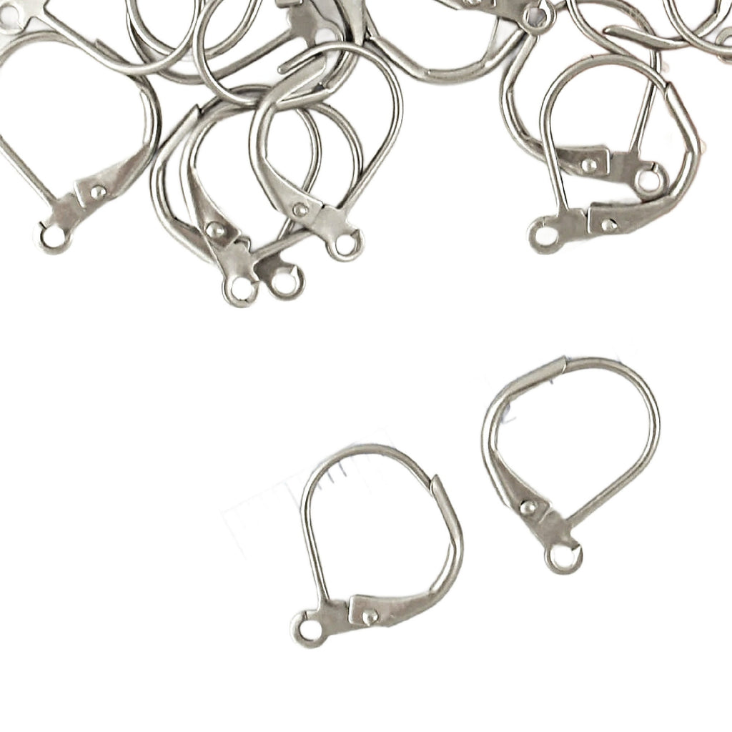 5 Pairs Surgical Stainless Steel Leverback Ear Wires - Plain Front