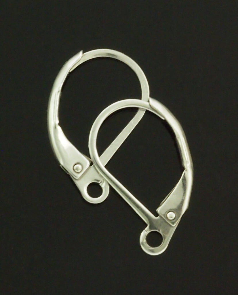 5 Pairs Modern Curve Surgical Stainless Steel Leverback Ear Wires - Tumbled to Eliminate Rough Edges and Bring to a High Sheen