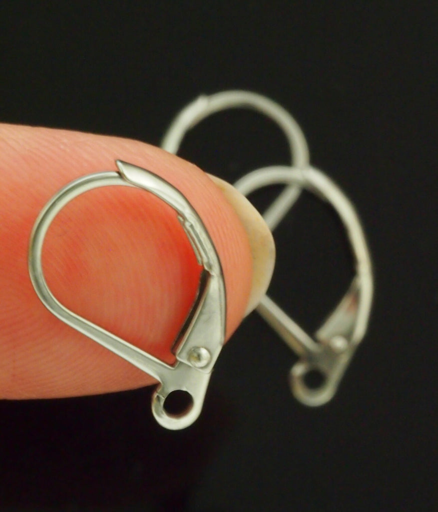 5 Pairs Modern Curve Surgical Stainless Steel Leverback Ear Wires - Tumbled to Eliminate Rough Edges and Bring to a High Sheen