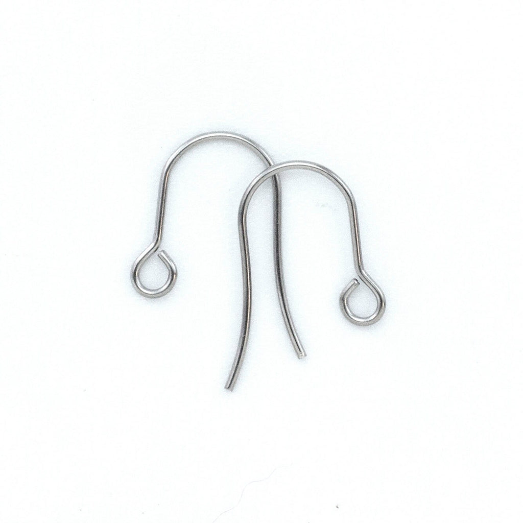20 pairs Basic Surgical Steel Ear Wires 316L