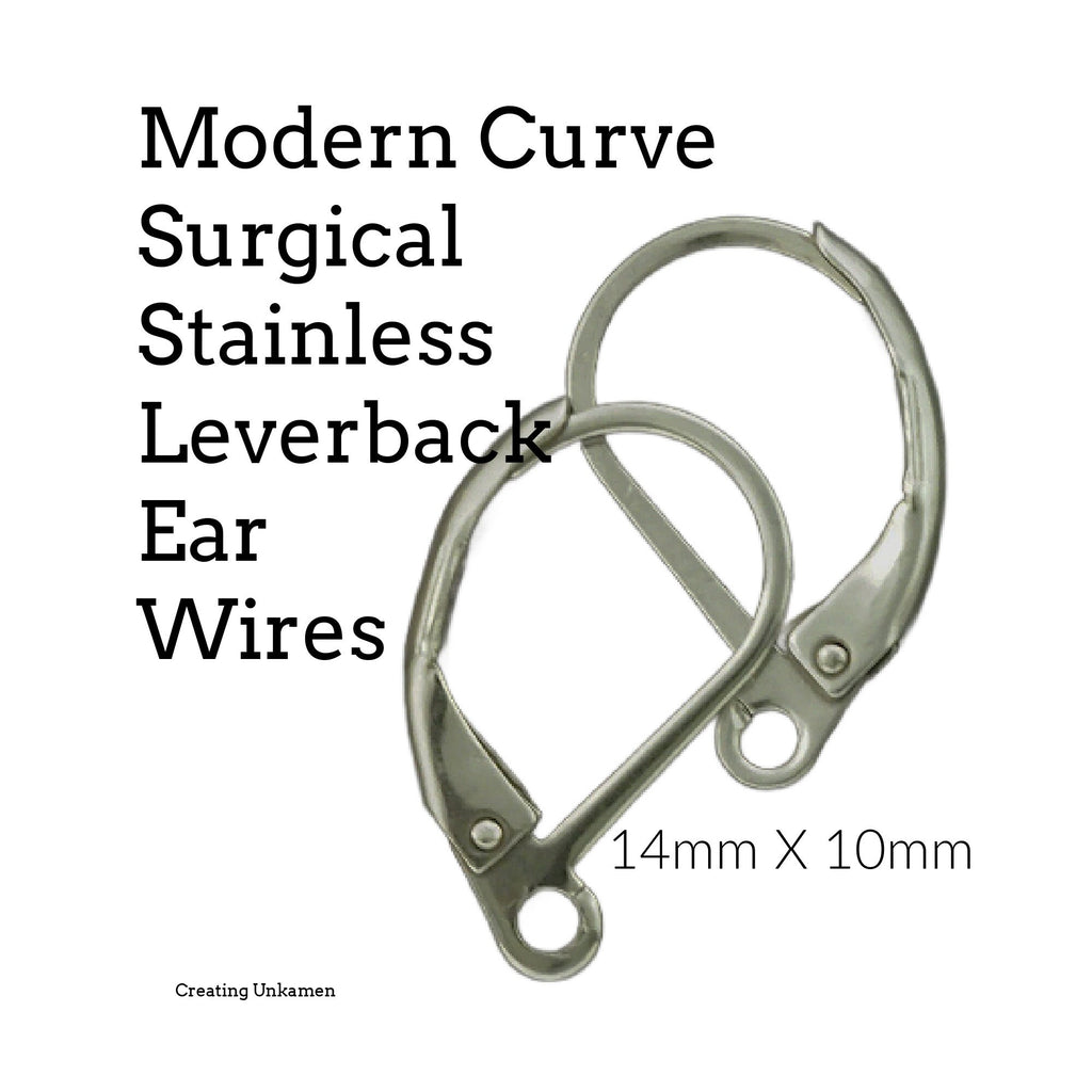 5 Pairs Modern Curve Surgical Stainless Steel Leverback Ear Wires - Tumbled to Eliminate Rough Edges and Bring to a High Sheen